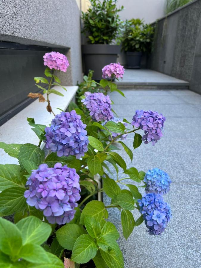 Villa Mare'S 2 斯普利特 外观 照片